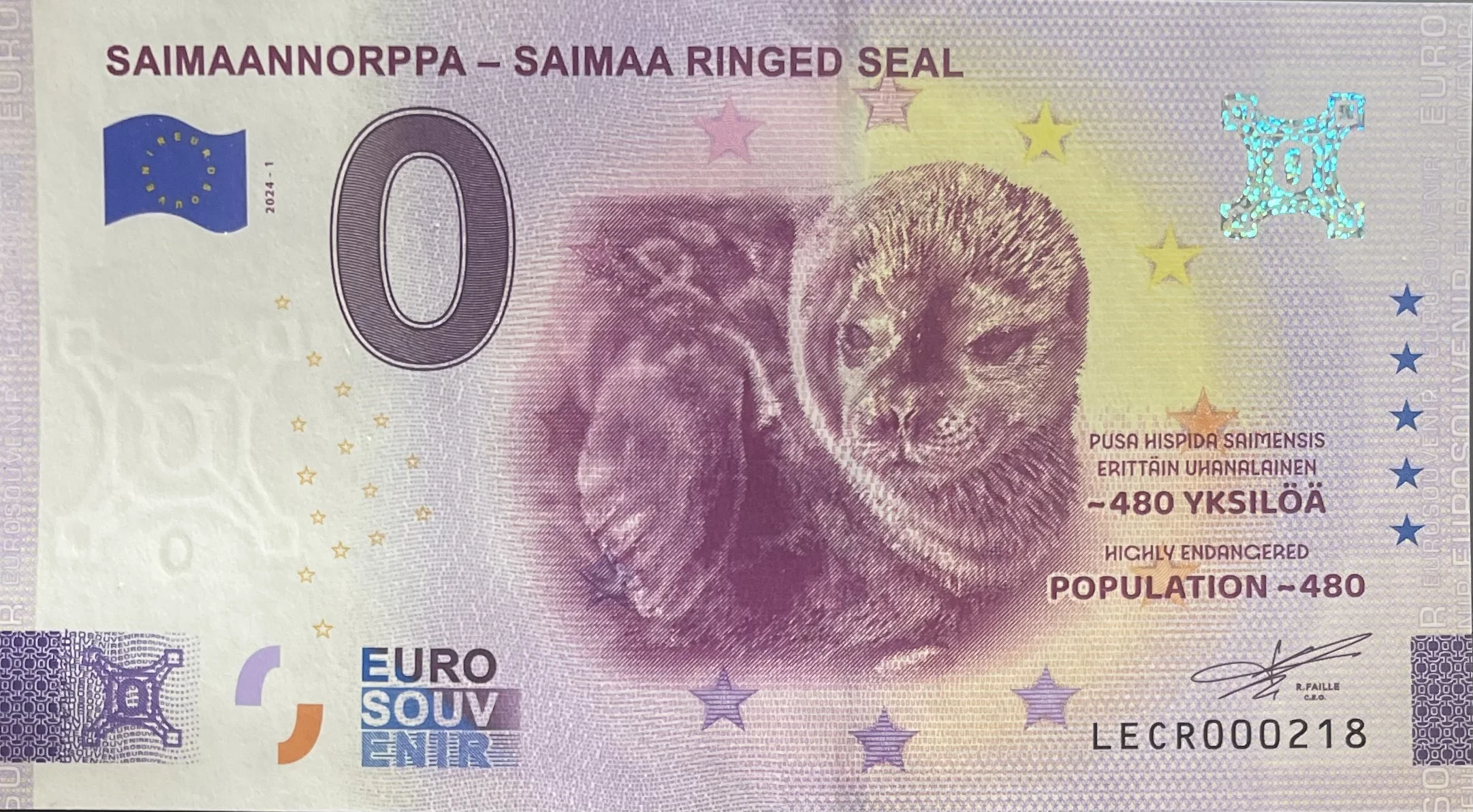 SAIMAANNORPPA - SAIMAA RINGED SEAL