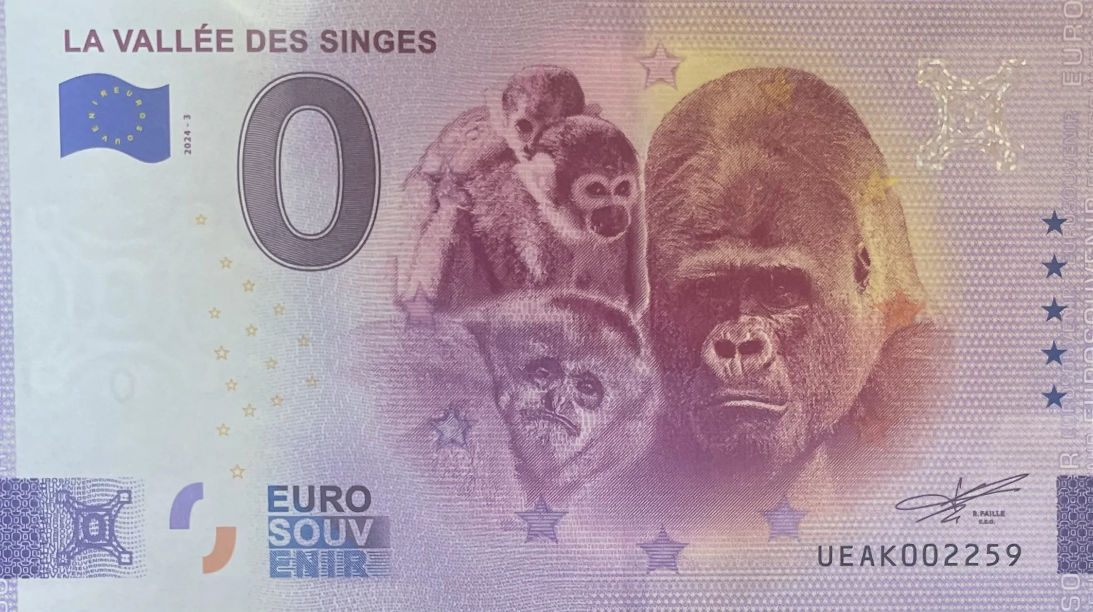 LA VALLÉE DES SINGES